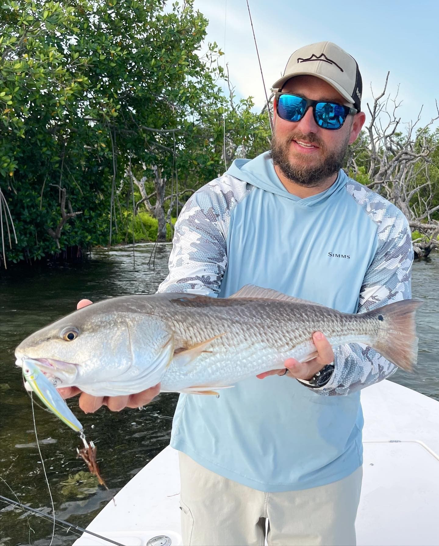Mangrove Redfish on Artificial