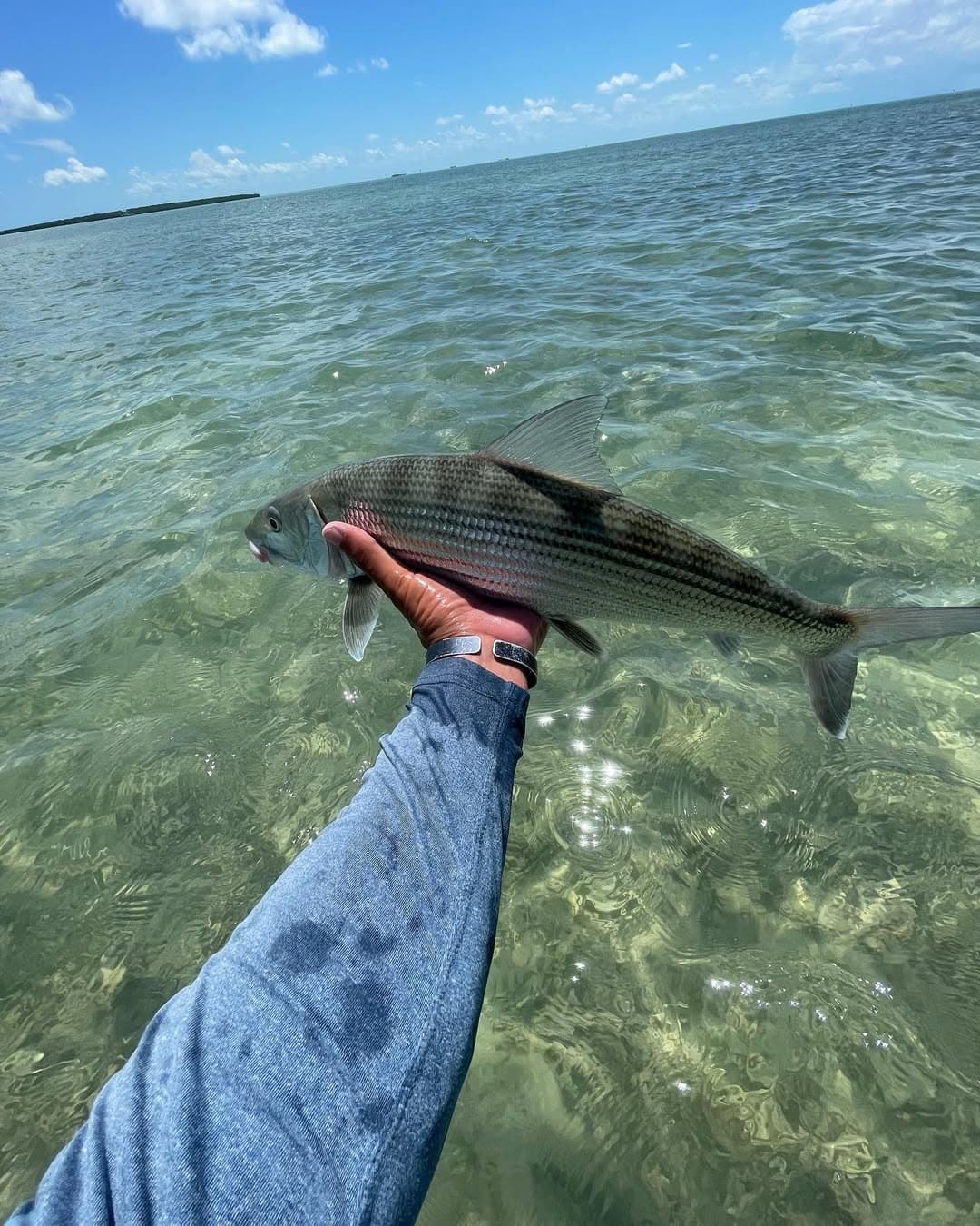 Bonefish in the Flats