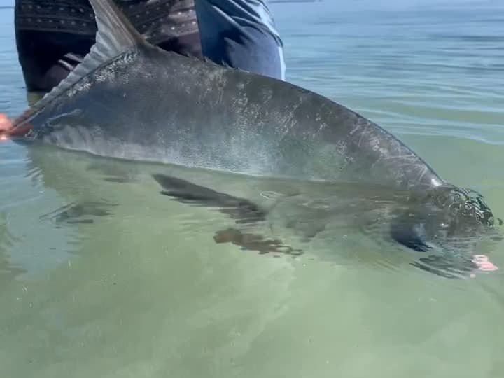 Grand Slam: Permit