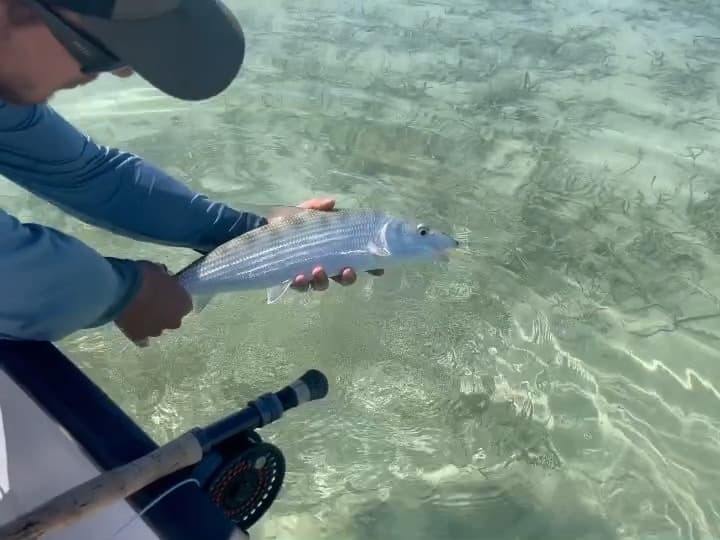 Grand Slam: Bonefish